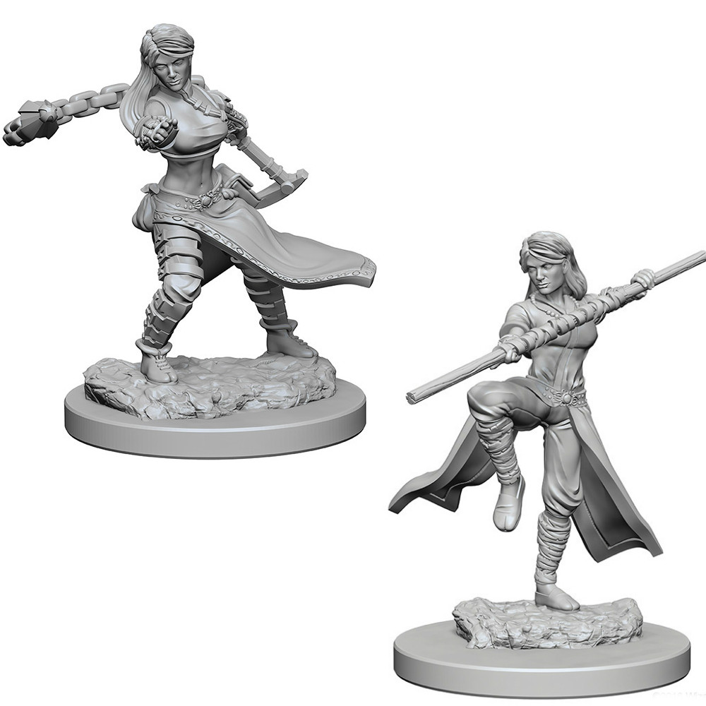 Nolzurs Marvelous Miniatures - Human Monk - Female